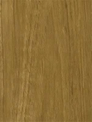 Teak veneer